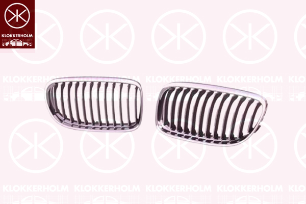 Grill Klokkerholm - BMW - E9*, M3 - OE 51137201969,51137120009