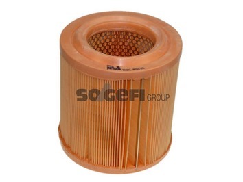 Luftfilter Purflux - Nissan - Cabstar - OE 16546MA70C,16546MA70A,5001869822,7485119973