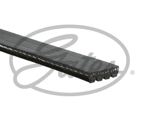 Rem Gates - BMW - F87, M4, M3 f80. Isuzu - Gemini - OE 11287848606