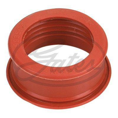 Slang Gates - Peugeot - Partner, 308, 307, 206, 3008, 207, 407, 5008. Citroen - Berlingo, C4, C3, C5, Xsara, C4 picasso. Mini - Mini. Fiat - Scudo