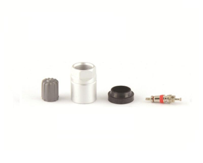 Servicekit Schrader CUB