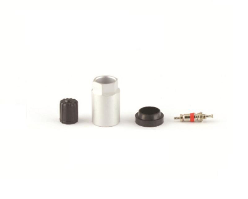 Servicekit Schrader CUB