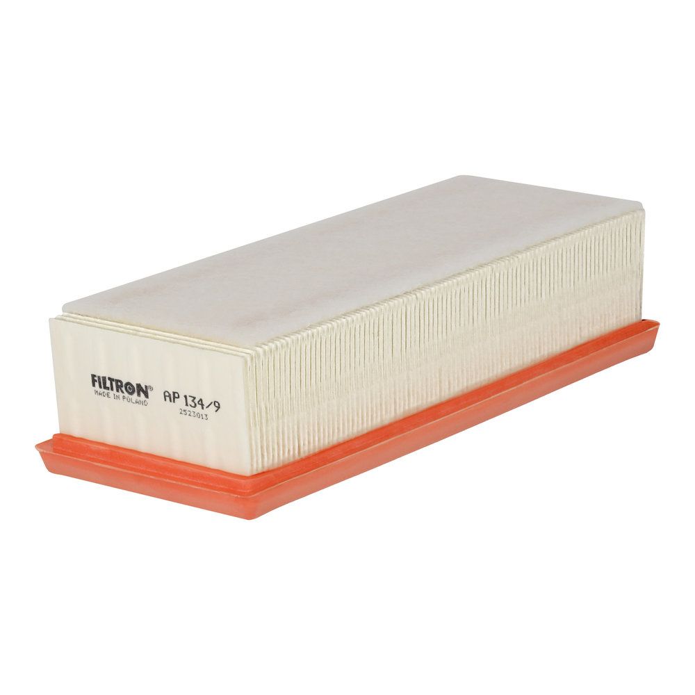 FILTRON Luftfilter AP 134/9 - Dacia - Duster