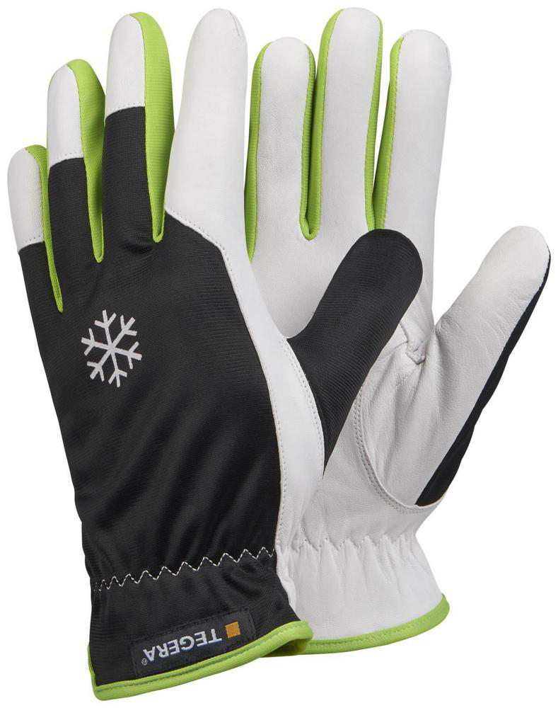 Läderhandske 235 Strl 8 Tegera