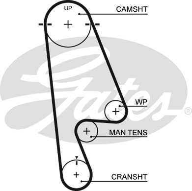 Kamrem Gates - Honda - Accord, Shuttle - OE 06141P0A305,14400P0A004,06141PEA305,14400PDAE01,14400PAAA01,14400PAAA02,5862059340