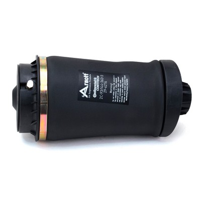 Luftfjær, chassis - Mercedes - W251