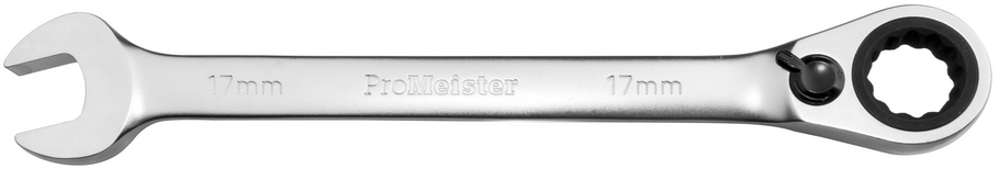 Ringspärrnyckel Omställbar 10mm ProMeister
