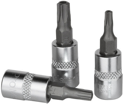 Bitspipe 1/4" 8 mm Torx