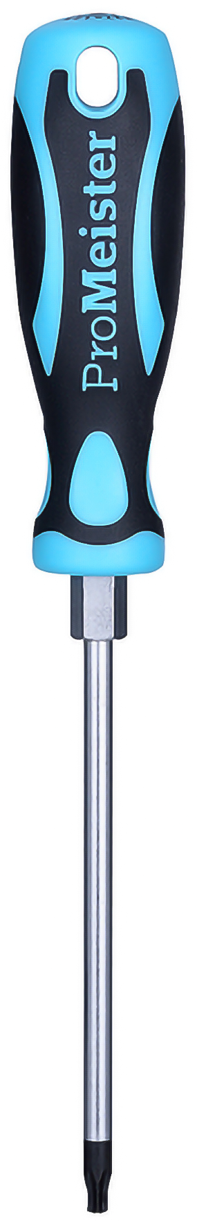 Skruvmejsel Torx T10 80mm ProMeister