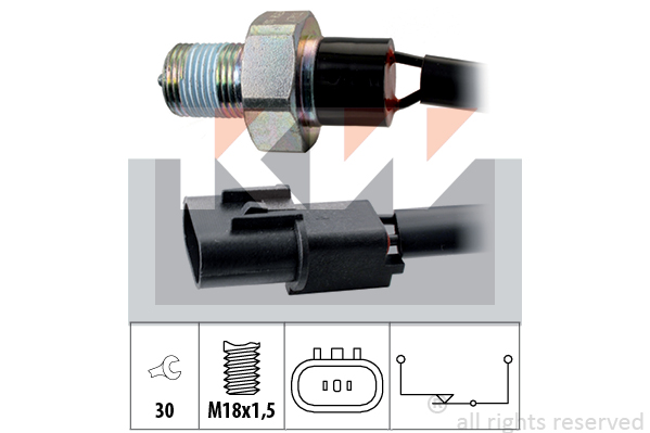 Bryter, ryggelys - Kia - Cerato, Pregio, K-serie. Hyundai - Sr, H1