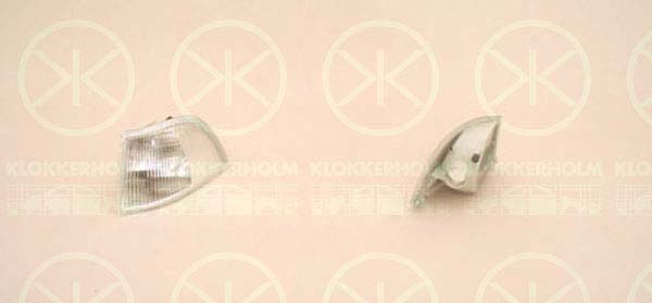 Blinker - Volvo - V40, S40 - OE 30806987