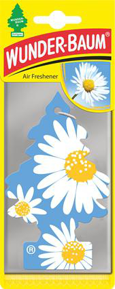Duftende Fir Tusenfryd Blomst