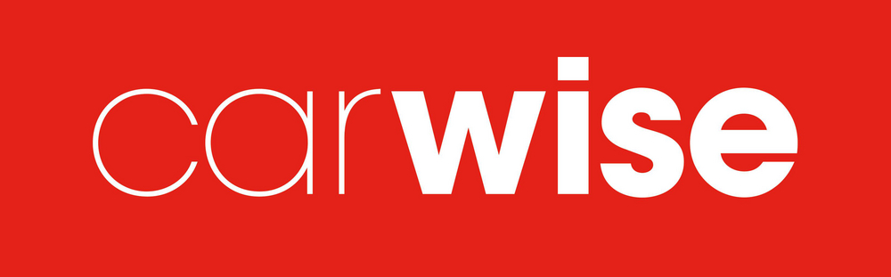 Carwise Slange til 880050