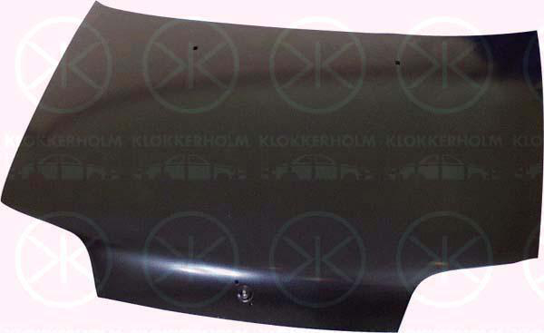 Motorhuv Klokkerholm - Fiat - Punto - OE 46425776