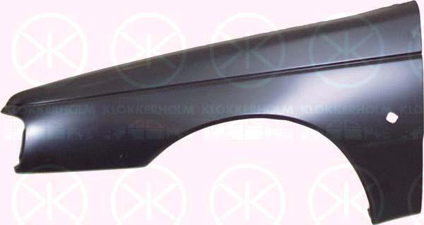 Front Fender - Peugeot - 405