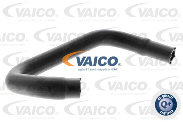 Slange, veivhus ventilasjon - Ford - Focus, C-max, Fusion. Volvo - V50