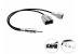 Antennadapter Kia/Hyundai