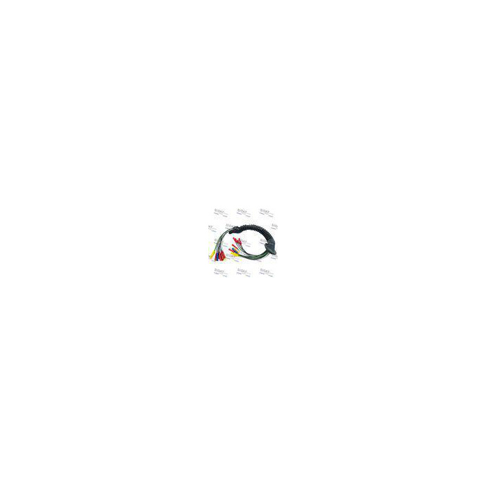 Primary Image Primary Image