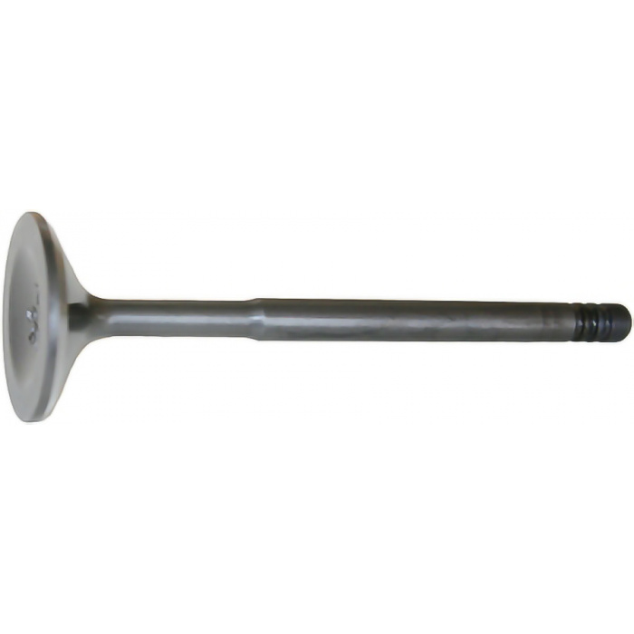 Primary image