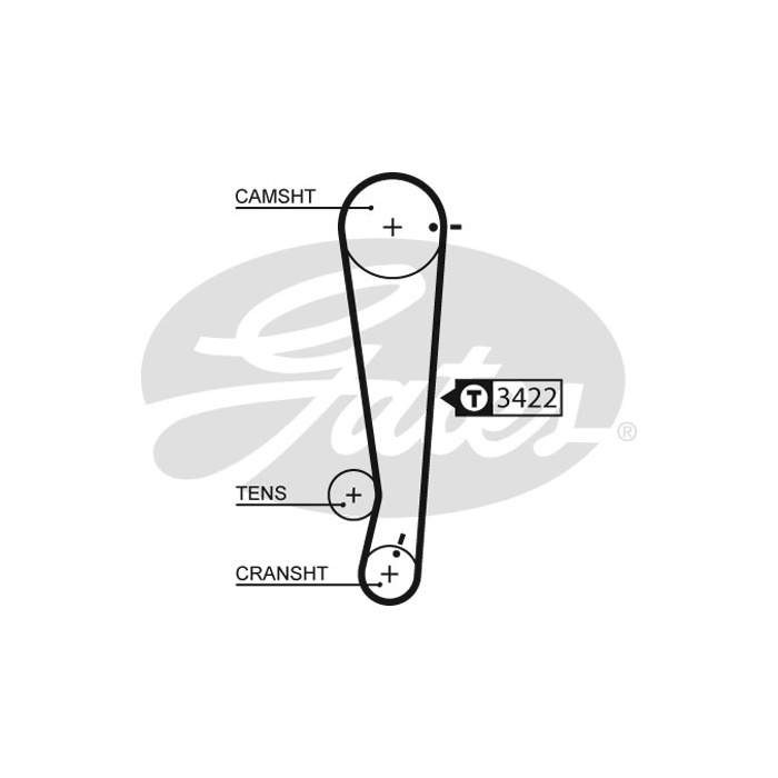 Primary image