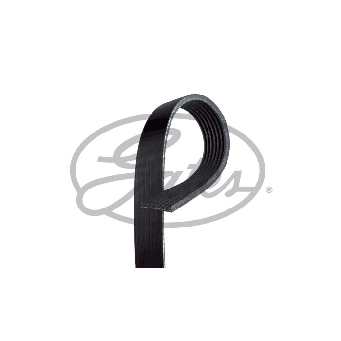 Primary image