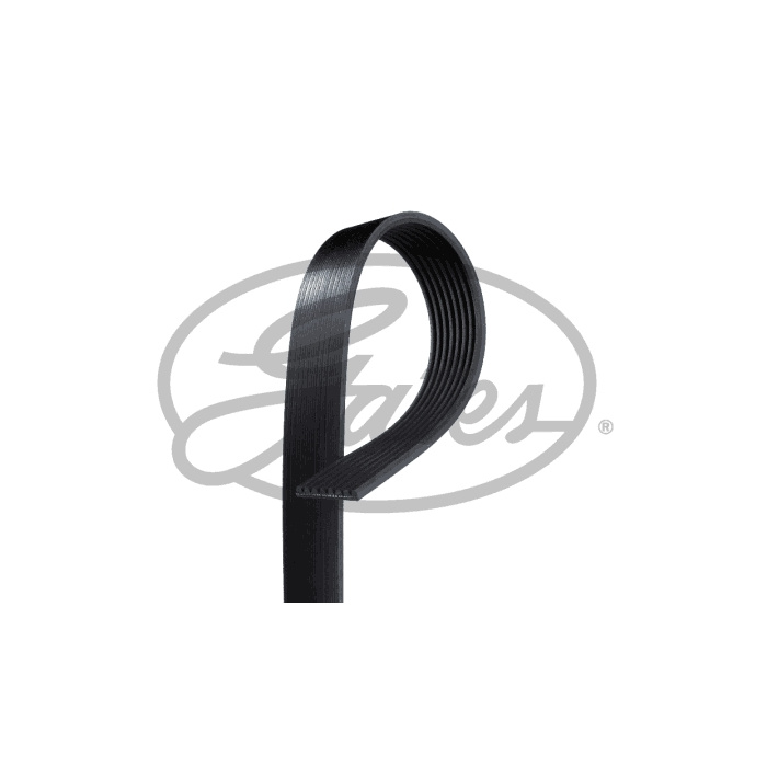 Primary image