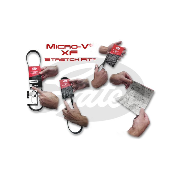 Primary image