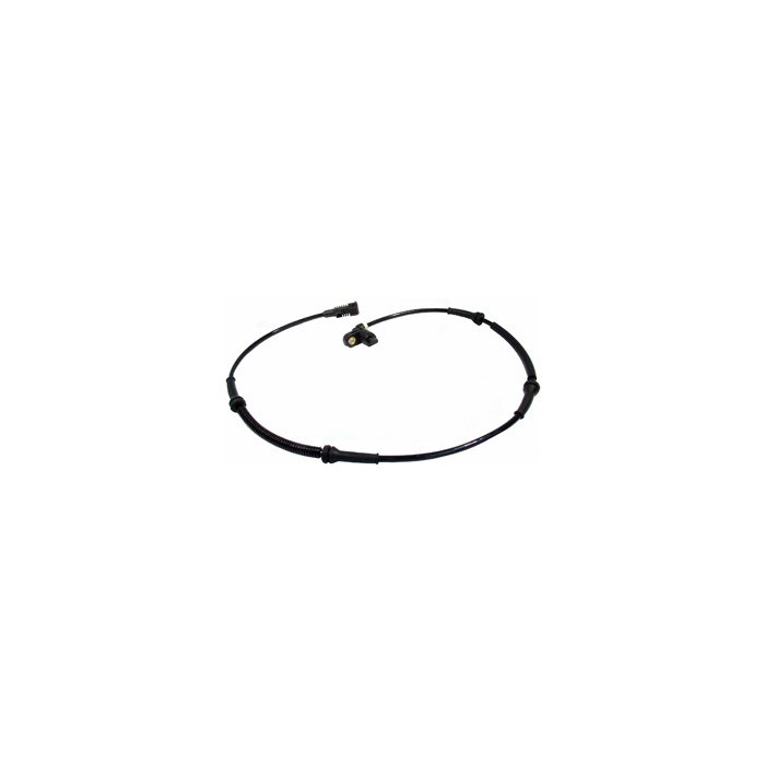 Primary image