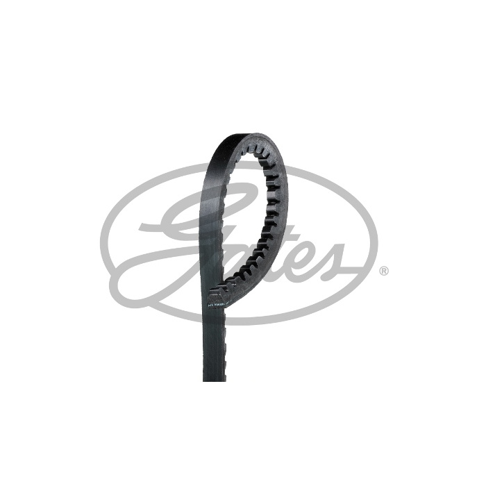 Primary image