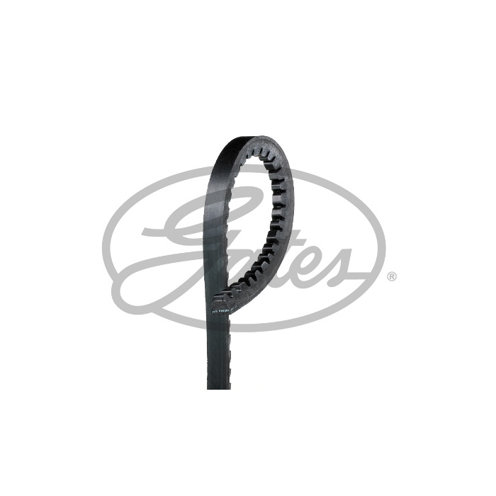Primary image